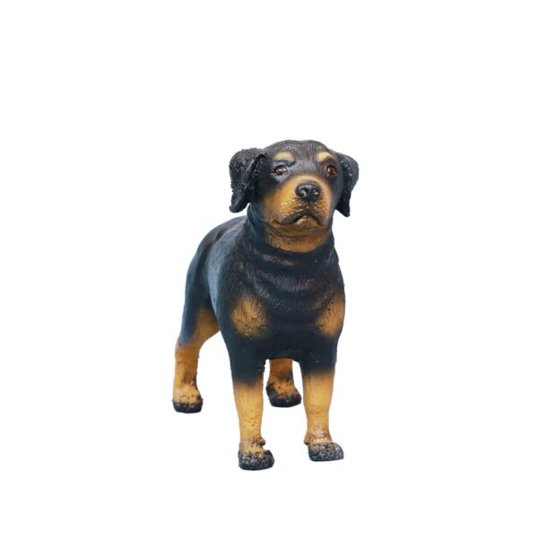Hund, Rottweiler, Soft