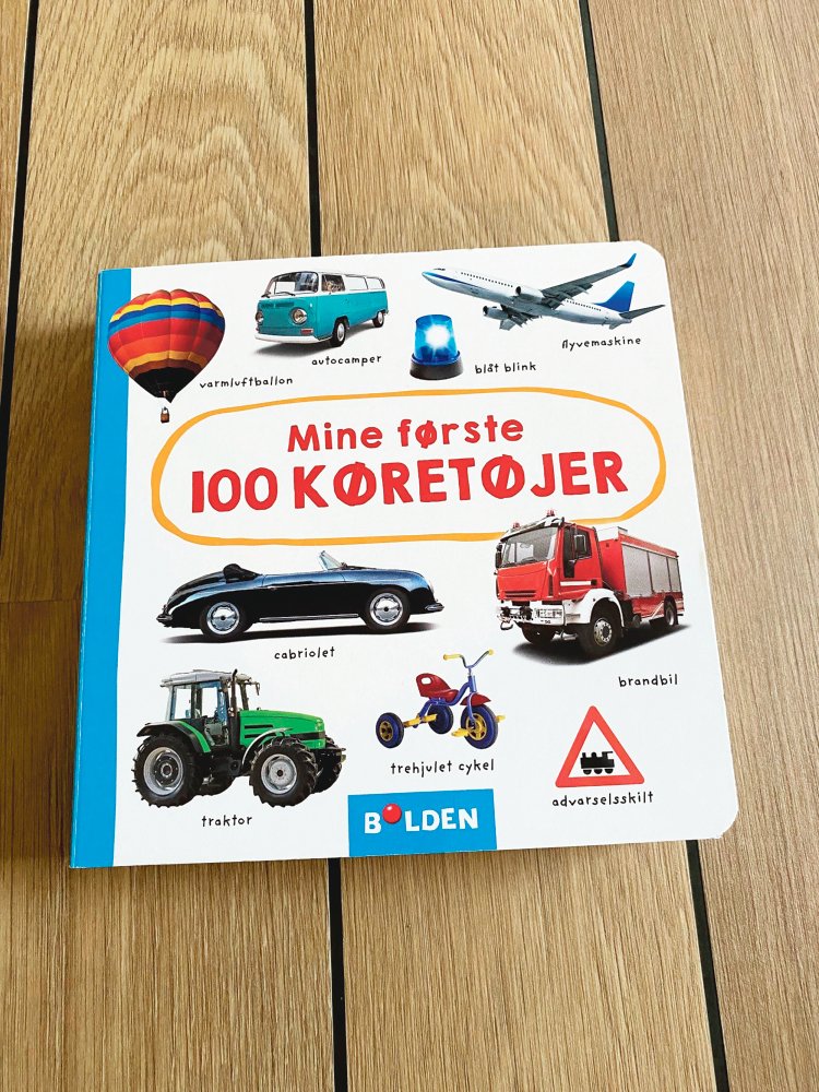 Mine første 100 køretøjer - Image 2