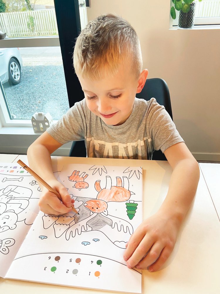 Leg & lær: Farv med tal - Fra 3 år - Image 4