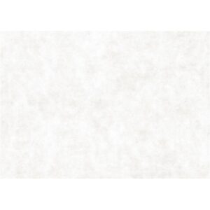 Karduspapir, A2, ark 420x594 mm, 100 g, hvid, 100 ark/ 1 pk.