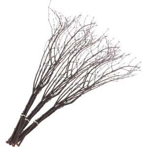 Fastelavnsris, str. 50-60 cm, 10 stk./ 1 pk.