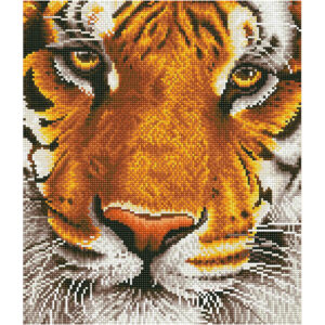 Diamond Dotz - billede på stof, Tiger, str. 36x42 cm, 1 pk.